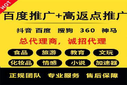 SEO策略在电商平台的成功应用案例